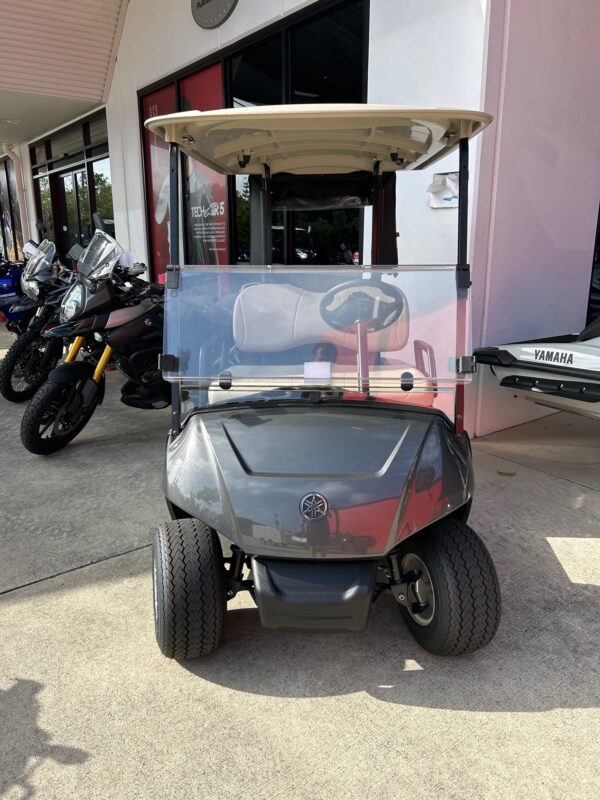 GOLF CAR - LITHIUM FLEET - Image 3