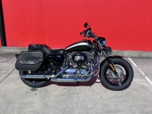 HARLEY DAVIDSON 1200 CUSTOM (XL1200C)